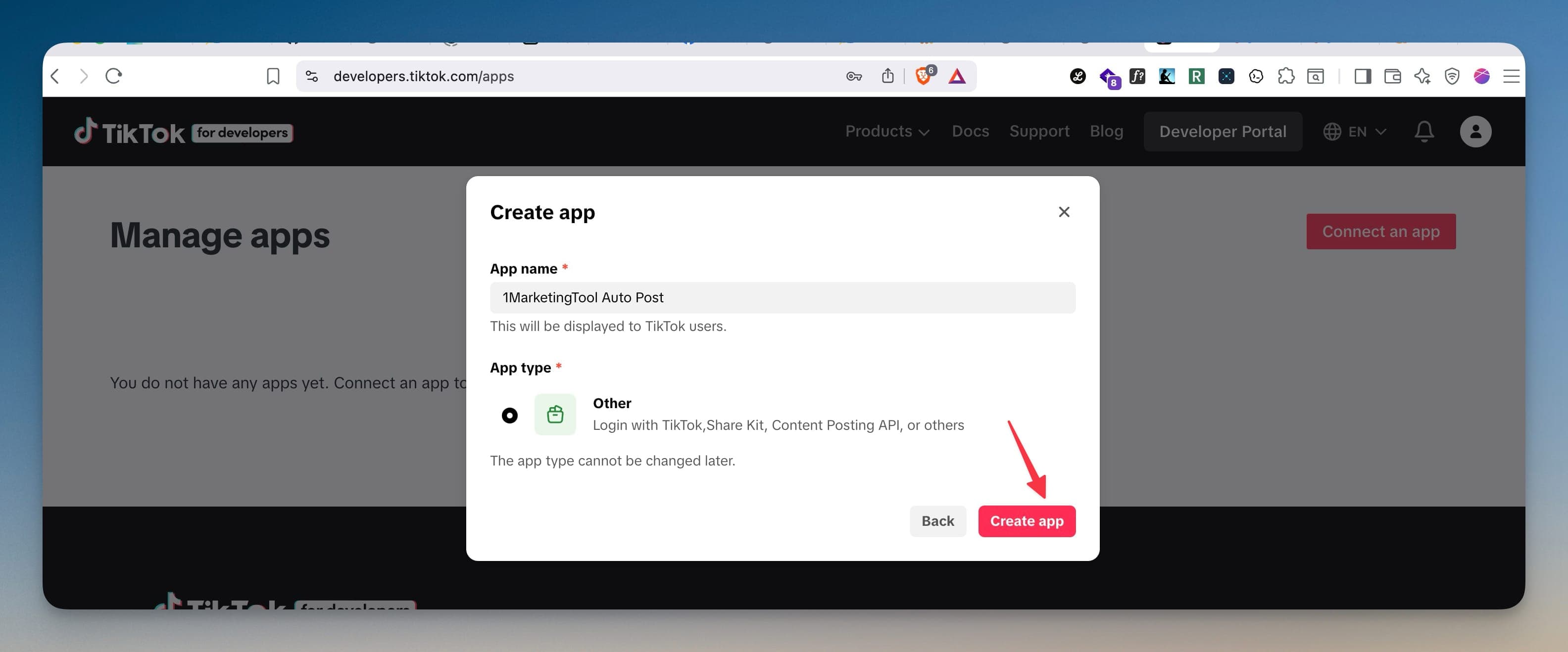 Syötä TikTok-sovelluksen nimi ja tyyppi