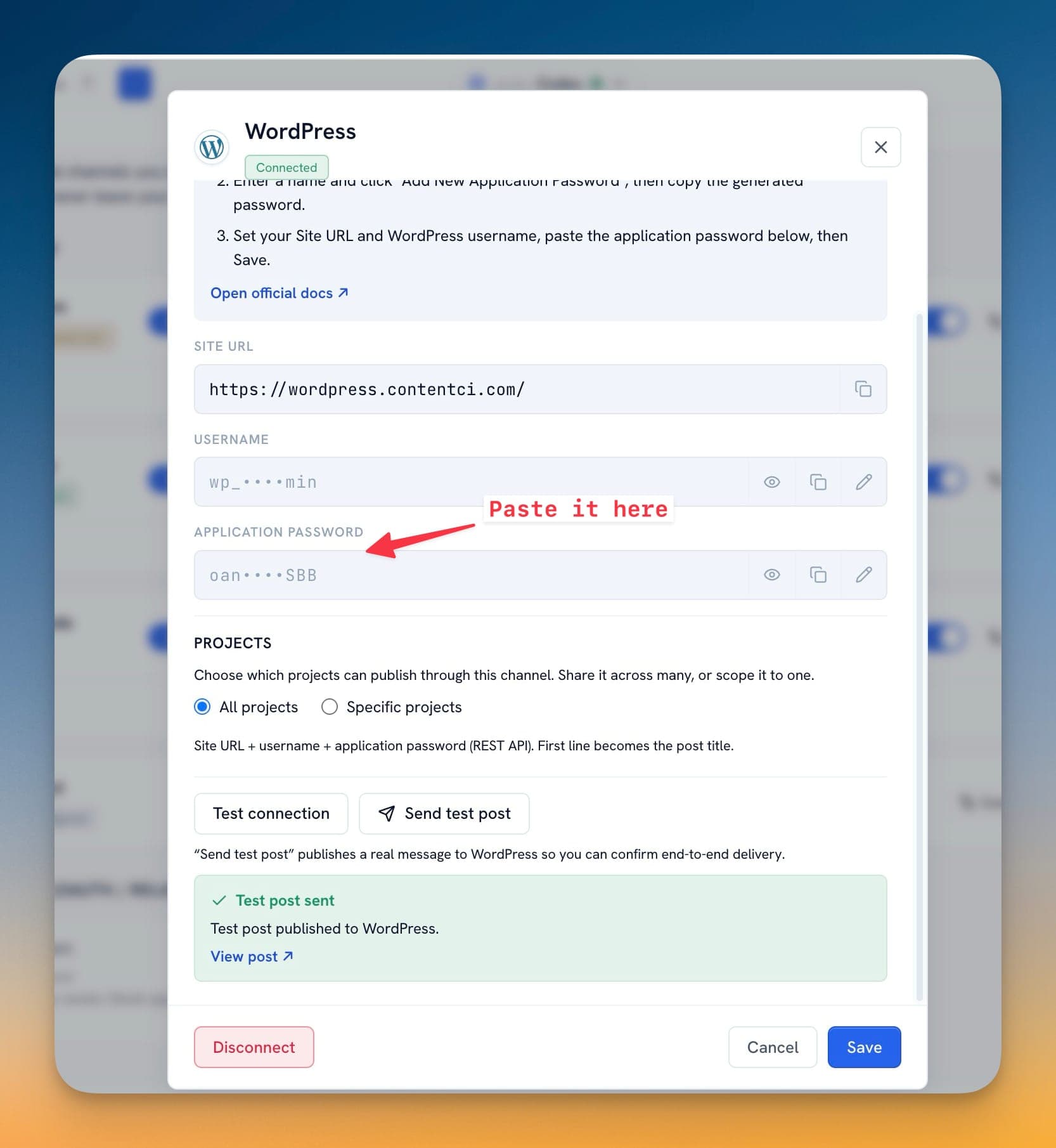 Paste WordPress application password in 1MarketingTool