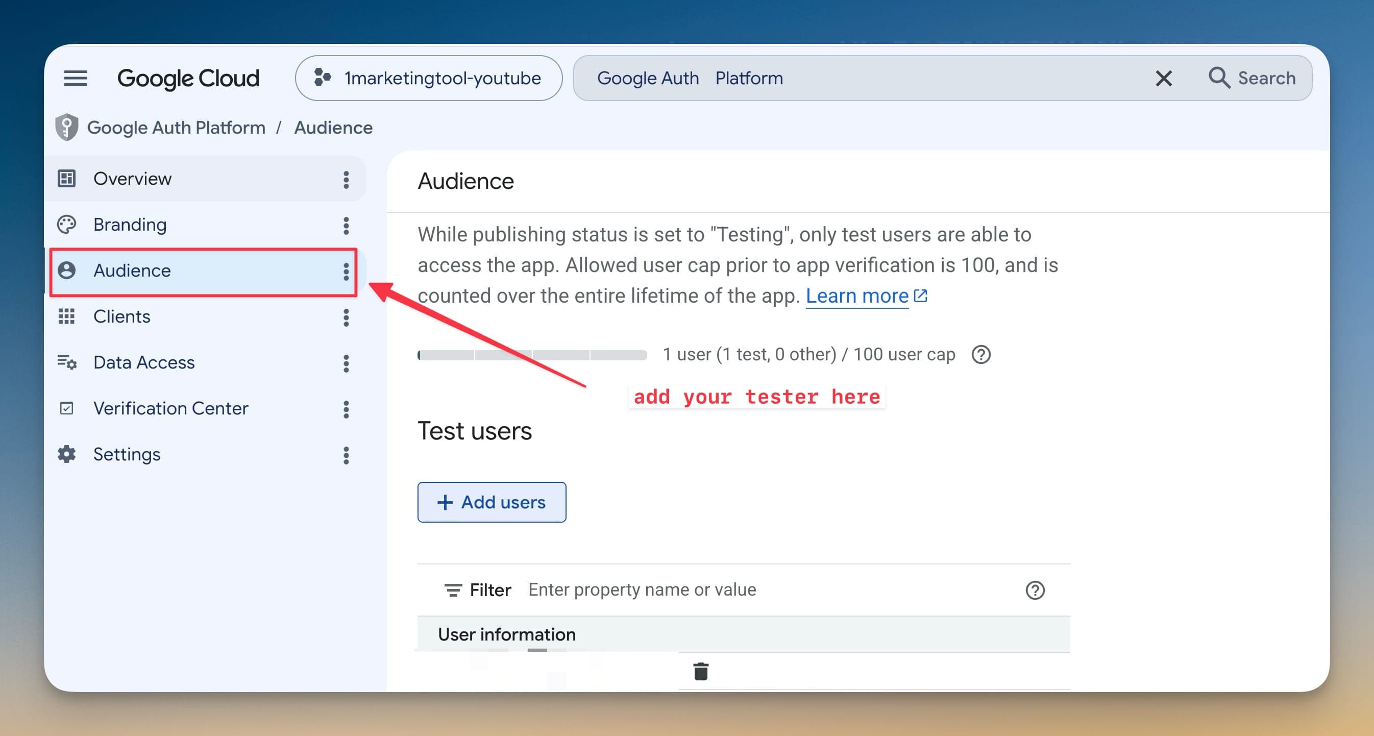 Thêm Google OAuth test user