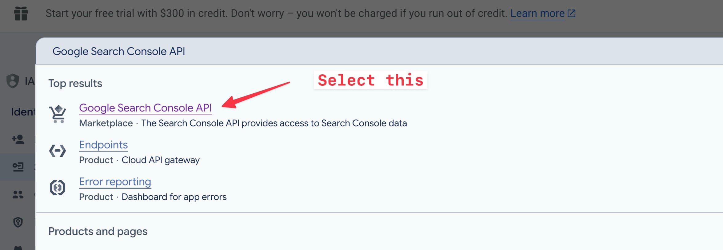 Google Search Console API 선택